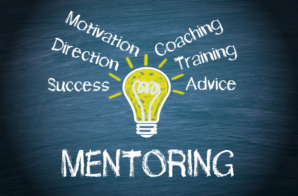 Mentorship & Training